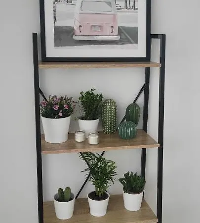 Softloft Marina *